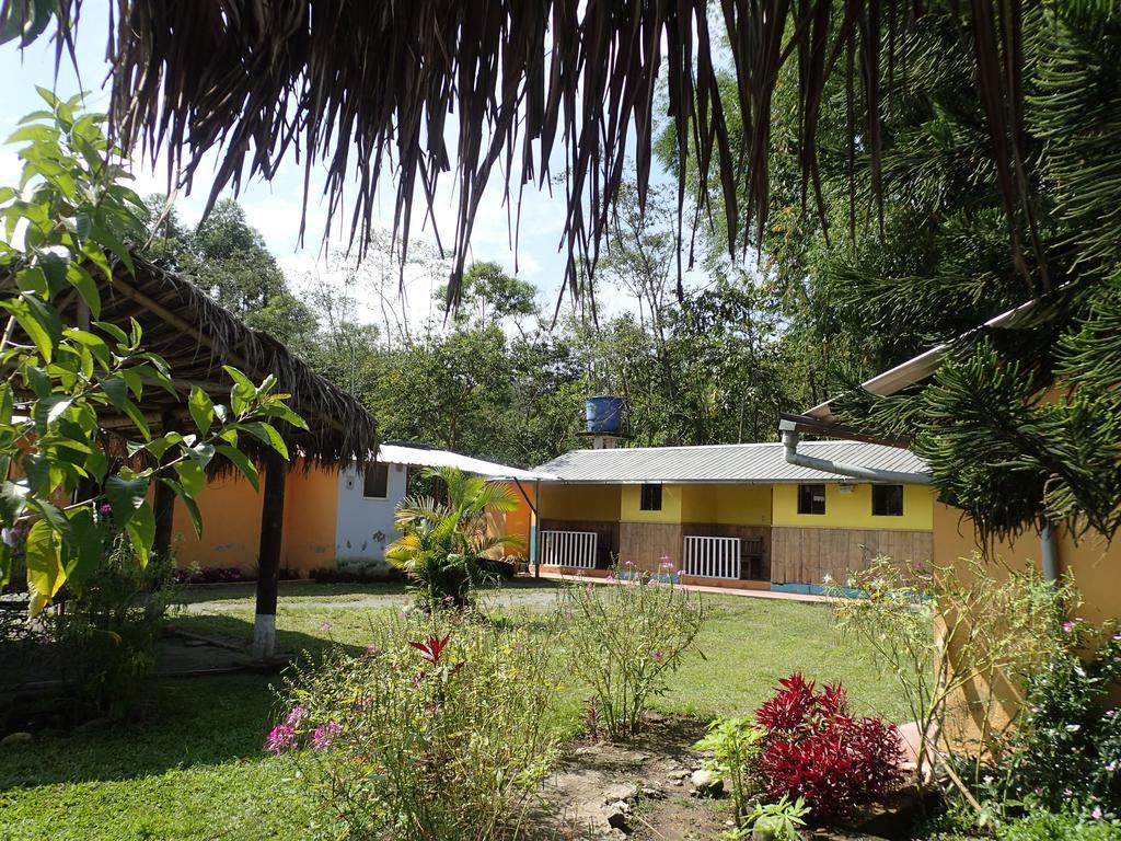 Hostal Henrry'S Hotel Mindo Ngoại thất bức ảnh